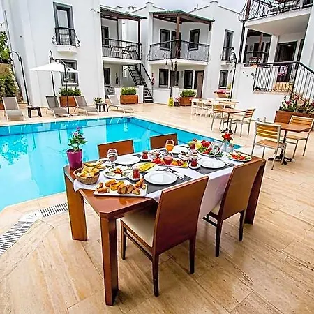 فندق Modern Life Bodrum 5*